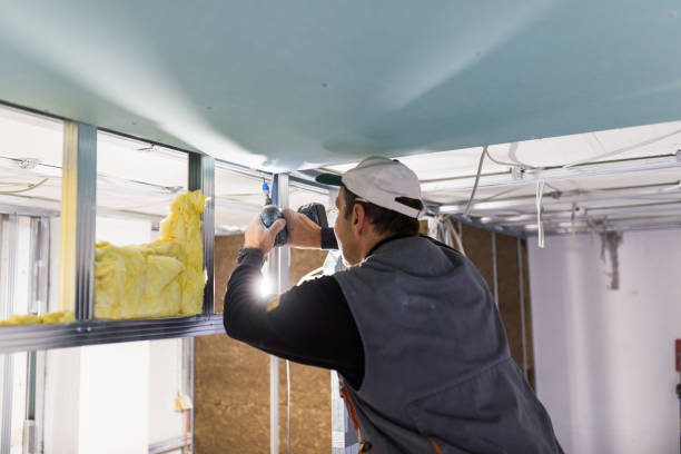 Professional Insulation Contractor in Weatherby Lake, MO