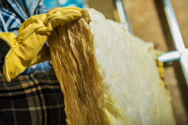 Best Spray Foam Insulation  in Weatherby Lake, MO