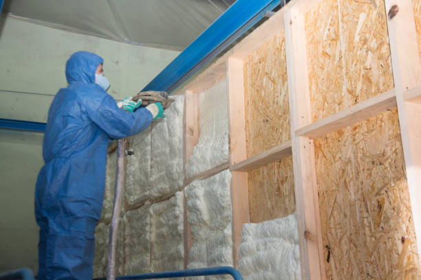 Best Blown-in Insulation  in Weatherby Lake, MO
