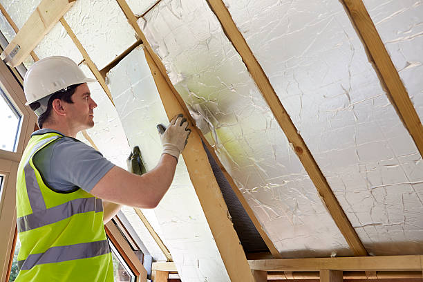 Insulation Replacement Services in Weatherby Lake, MO